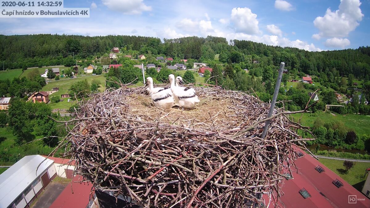 A zůstali jsme sami, snad se brzy vrátí