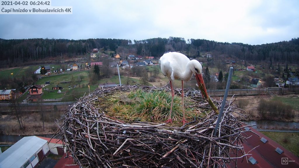 Pánská jízda