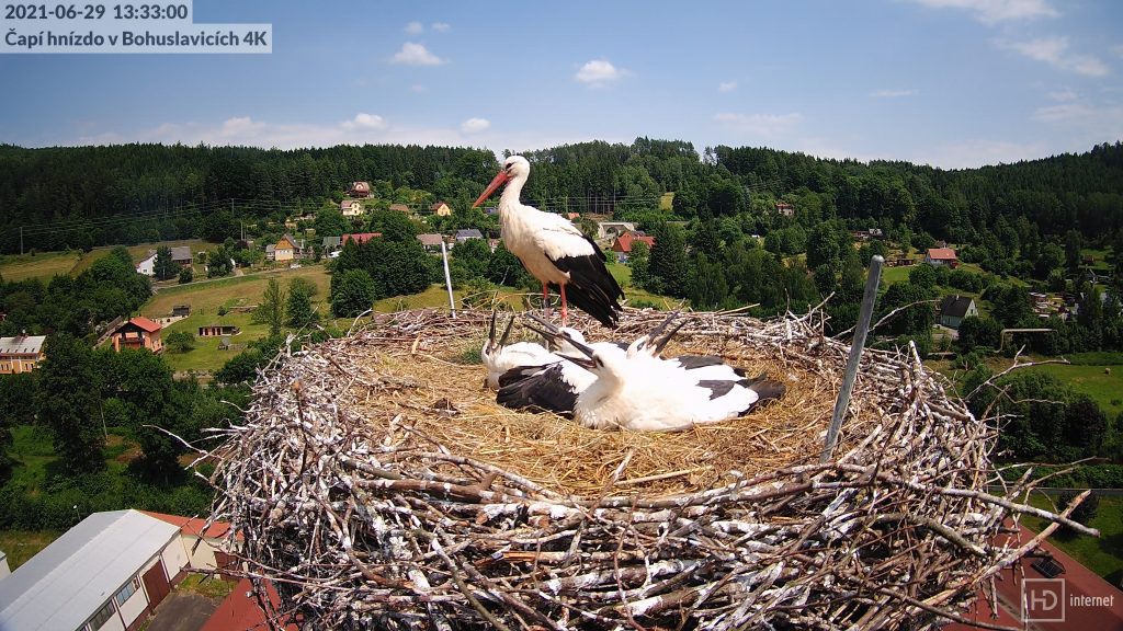 Žízeň byla veliká