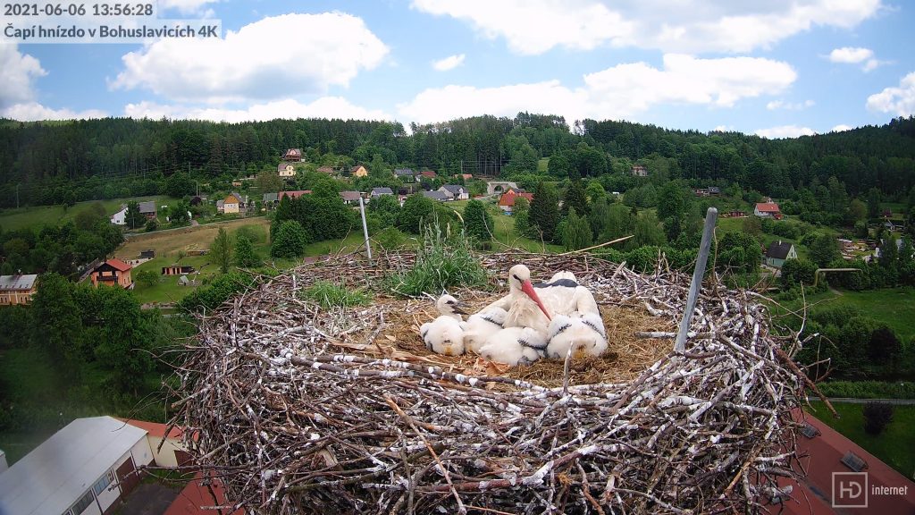 Hrdinná Bohunka