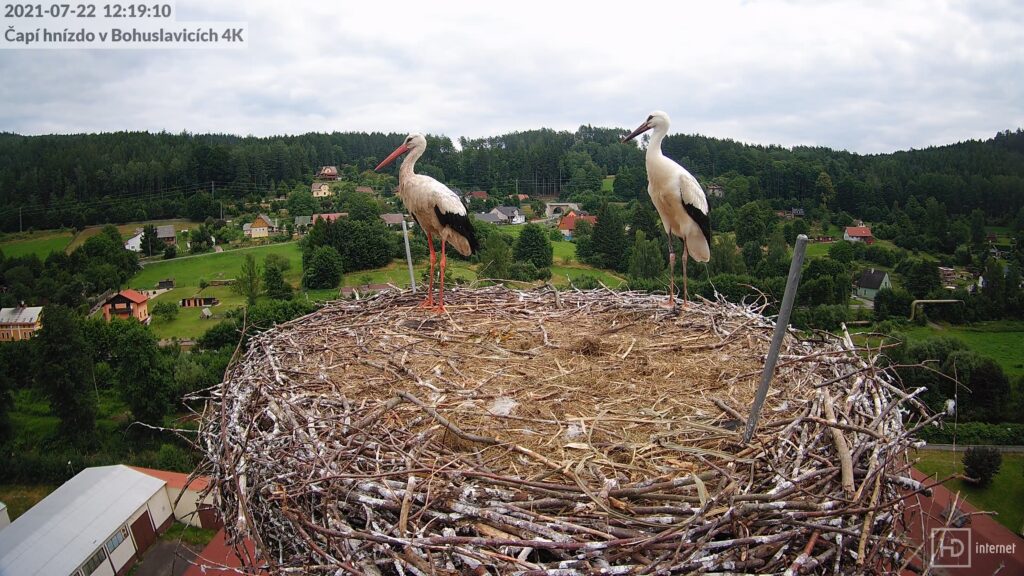 A uháněl k Neumětelům…