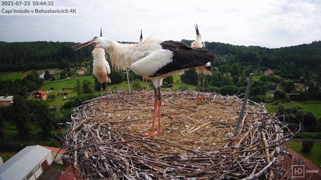 Protivzdušné čtyřče